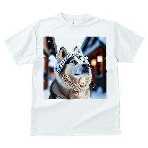 VxAnXL[ TVc fB[X t@  t  vg JWA 킢 lԗp h ̃fUC ʔ jbgX VxAnXL[ XJ[t ~ 