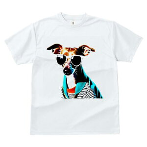 C^AO[nEh TVc fB[X t@  t  vg JWA 킢 lԗp h ̃fUC ʔ TOX C^AO[nEh 