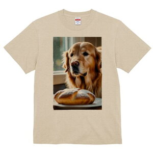 S[fgo[ TVc fB[X t@  t  vg JWA 킢 lԗp h ̃fUC ʔ p S[fgo[ fU[g Ăَq X