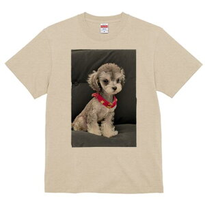 }`[Y,gCv[h TVc fB[X t@  t  vg JWA 킢 lԗp h ̃fUC ʔ }`[Y,gCv[h