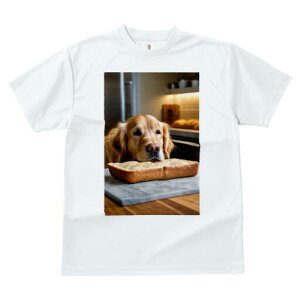 S[fgo[ TVc fB[X t@  t  vg JWA 킢 lԗp h ̃fUC ʔ p S[fgo[ Ăَq Lb`