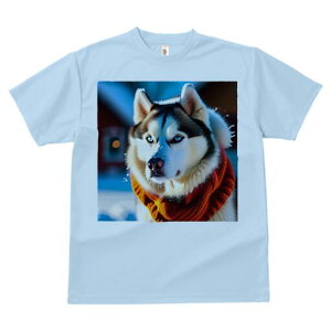 VxAnXL[ TVc fB[X t@  t  vg JWA 킢 lԗp h ̃fUC ʔ ~ VxAnXL[  XJ[t