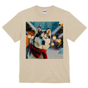 VxAnXL[ TVc fB[X t@  t  vg JWA 킢 lԗp h ̃fUC ʔ ~ VxAnXL[  NX}X XJ[t