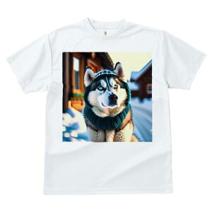 VxAnXL[ TVc fB[X t@  t  vg JWA 킢 lԗp h ̃fUC ʔ  VxAnXL[ ~ jbgX }t[