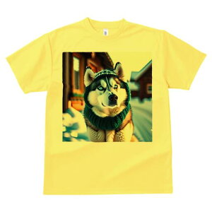 VxAnXL[ TVc fB[X t@  t  vg JWA 킢 lԗp h ̃fUC ʔ  VxAnXL[ ~ jbgX }t[