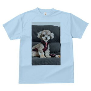 }v[ TVc fB[X t@  t  vg JWA 킢 lԗp h ̃fUC ʔ Z[^[ }v[ \t@