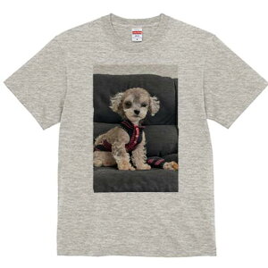 }v[ TVc fB[X t@  t  vg JWA 킢 lԗp h ̃fUC ʔ Z[^[ }v[ \t@