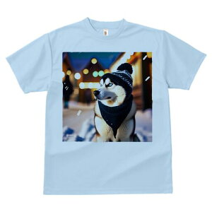 VxAnXL[ TVc fB[X t@  t  vg JWA 킢 lԗp h ̃fUC ʔ ~ VxAnXL[  Xq XJ[t