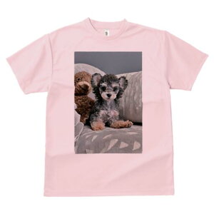 }`[Y,[NV[eA TVc fB[X t@  t  vg JWA 킢 lԗp h ̃fUC ʔ }`[Y,[NV[eA