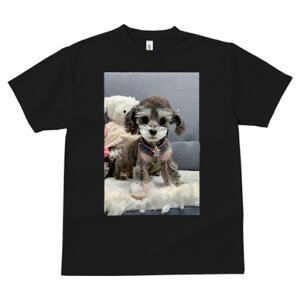 }v[ TVc fB[X t@  t  vg JWA 킢 lԗp h ̃fUC ʔ ʂ }v[