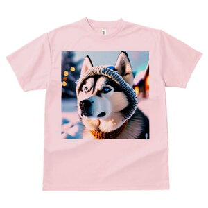 VxAnXL[ TVc fB[X t@  t  vg JWA 킢 lԗp h ̃fUC ʔ ~ VxAnXL[  Xq XJ[t