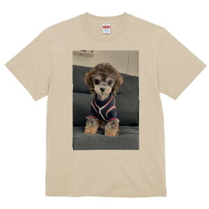 [NV[eA,gCv[h TVc fB[X t@  t  vg JWA 킢 lԗp h ̃fUC ʔ Z[^[ [NV[eA,gCv