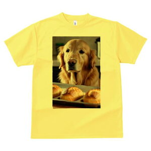 S[fgo[ TVc fB[X t@  t  vg JWA 킢 lԗp h ̃fUC ʔ p S[fgo[ Ăَq