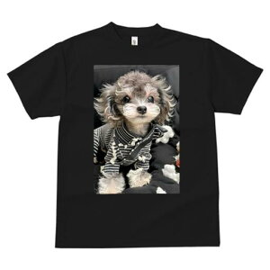 gCv[h TVc fB[X t@  t  vg JWA 킢 lԗp h ̃fUC ʔ  gCv[h XgCv