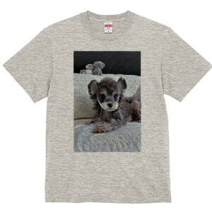 gCv[h TVc fB[X t@  t  vg JWA 킢 lԗp h ̃fUC ʔ ʂ gCv[h NbV