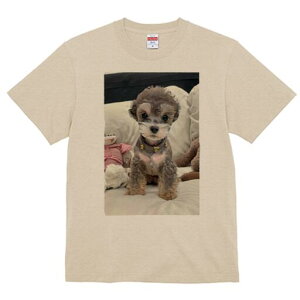 gCv[h TVc Y LbY t@  t  vg JWA 킢 lԗp h ̃fUC ʔ ʂ gCv[h xbh