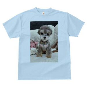 gCv[h TVc Y LbY t@  t  vg JWA 킢 lԗp h ̃fUC ʔ ʂ gCv[h xbh