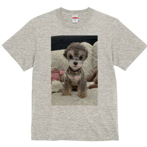 gCv[h TVc fB[X t@  t  vg JWA 킢 lԗp h ̃fUC ʔ ʂ gCv[h xbh