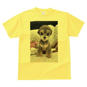 gCv[h TVc fB[X t@  t  vg JWA 킢 lԗp h ̃fUC ʔ ʂ gCv[h xbh