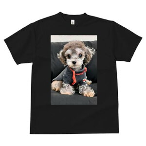 }`[Y,gCv[h TVc fB[X t@  t  vg JWA 킢 lԗp h ̃fUC ʔ Z[^[ }`[Y,gCv[h 