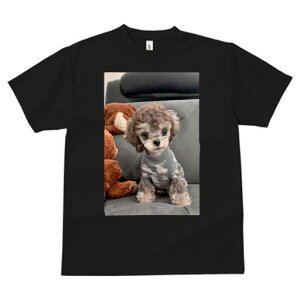 gCv[h TVc fB[X t@  t  vg JWA 킢 lԗp h ̃fUC ʔ ʂ gCv[h