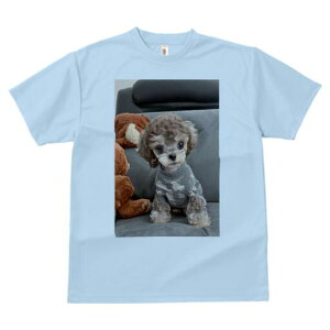 gCv[h TVc fB[X t@  t  vg JWA 킢 lԗp h ̃fUC ʔ ʂ gCv[h