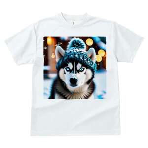 VxAnXL[ TVc fB[X t@  t  vg JWA 킢 lԗp h ̃fUC ʔ Xq VxAnXL[ 