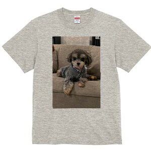 }v[ TVc fB[X t@  t  vg JWA 킢 lԗp h ̃fUC ʔ \t@ }v[ 