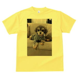 }v[ TVc fB[X t@  t  vg JWA 킢 lԗp h ̃fUC ʔ \t@ }v[ 