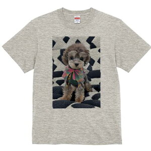 gCv[h TVc fB[X t@  t  vg JWA 킢 lԗp h ̃fUC ʔ  gCv[h