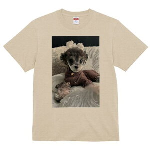 トイプードル Tシャツ レディース 犬ファン 半袖 春夏 犬柄 プリント カジュアル かわいい 人間用 個性派 ここだけのデザイン 面白 ぬいぐるみ トイプードル 服