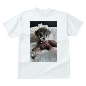 gCv[h TVc fB[X t@  t  vg JWA 킢 lԗp h ̃fUC ʔ ʂ gCv[h 