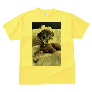 トイプードル Tシャツ メンズ キッズ 犬ファン 半袖 春夏 犬柄 プリント カジュアル かわいい 人間用 個性派 ここだけのデザイン 面白 ぬいぐるみ トイプードル 服