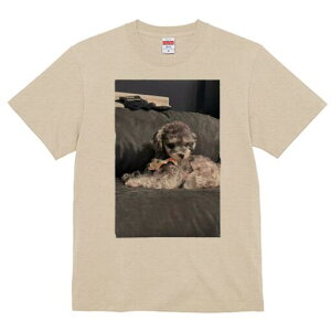 }`[Y,gCv[h TVc fB[X t@  t  vg JWA 킢 lԗp h ̃fUC ʔ { }`[Y,gCv[h NbV