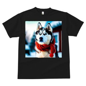 VxAnXL[ TVc fB[X t@  t  vg JWA 킢 lԗp h ̃fUC ʔ  VxAnXL[ ~ XJ[t