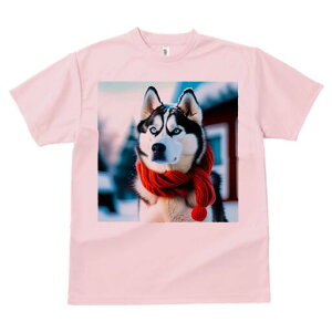 VxAnXL[ TVc fB[X t@  t  vg JWA 킢 lԗp h ̃fUC ʔ  VxAnXL[ ~ XJ[t