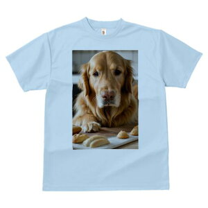 S[fgo[ TVc fB[X t@  t  vg JWA 킢 lԗp h ̃fUC ʔ p S[fgo[ Ăَq