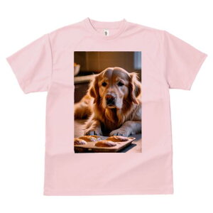 S[fgo[ TVc fB[X t@  t  vg JWA 킢 lԗp h ̃fUC ʔ }tB S[fgo[ Ăَq Lb`