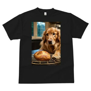 S[fgo[ TVc fB[X t@  t  vg JWA 킢 lԗp h ̃fUC ʔ p S[fgo[ Ăَq x[J[