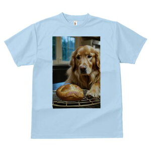 S[fgo[ TVc fB[X t@  t  vg JWA 킢 lԗp h ̃fUC ʔ p S[fgo[ Ăَq x[J[