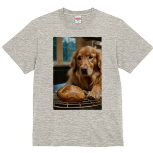 S[fgo[ TVc fB[X t@  t  vg JWA 킢 lԗp h ̃fUC ʔ p S[fgo[ Ăَq x[J[