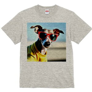 C^AO[nEh TVc fB[X t@  t  vg JWA 킢 lԗp h ̃fUC ʔ TOX C^AO[nEh 