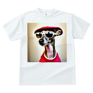 C^AO[nEh TVc fB[X t@  t  vg JWA 킢 lԗp h ̃fUC ʔ TOX C^AO[nEh Xq 