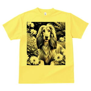 AtKnEh TVc fB[X t@  t  vg JWA 킢 lԗp h ̃fUC ʔ  AtKnEh