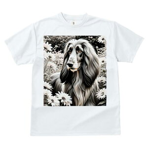 AtKnEh TVc fB[X t@  t  vg JWA 킢 lԗp h ̃fUC ʔ  AtKnEh fCW[