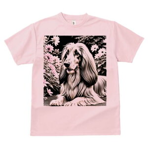 AtKnEh TVc fB[X t@  t  vg JWA 킢 lԗp h ̃fUC ʔ  AtKnEh fCW[