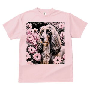 AtKnEh TVc fB[X t@  t  vg JWA 킢 lԗp h ̃fUC ʔ  AtKnEh sN