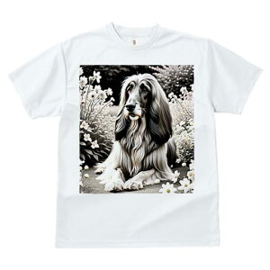 AtKnEh TVc fB[X t@  t  vg JWA 킢 lԗp h ̃fUC ʔ  AtKnEh