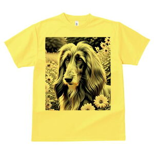 AtKnEh TVc fB[X t@  t  vg JWA 킢 lԗp h ̃fUC ʔ  AtKnEh A