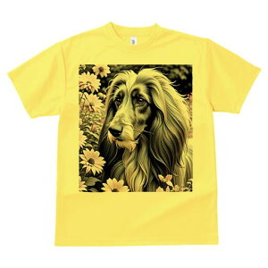 AtKnEh TVc fB[X t@  t  vg JWA 킢 lԗp h ̃fUC ʔ  AtKnEh